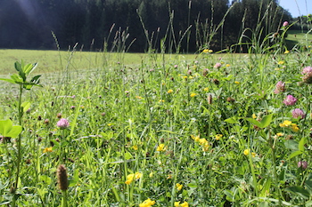 Quelle: Land schafft Leben, CC BY-ND 4.0