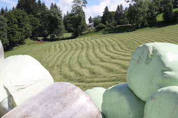 Quelle: Land schafft Leben, CC BY-ND 4.0