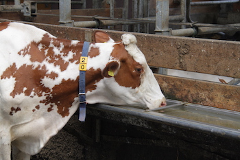 Quelle: Land schafft Leben, CC BY-ND 4.0