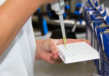 Quelle: Land schafft Leben, CC BY-ND 4.0