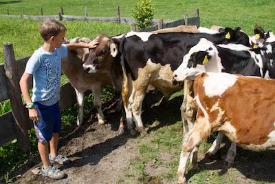 Quelle: Land schafft Leben, CC BY-ND 4.0