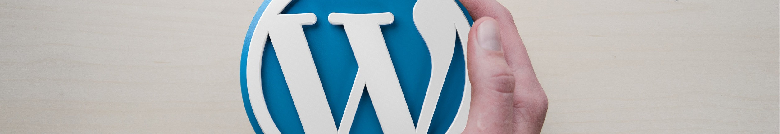 Course Image  Wordpress für Einsteiger_innen - Ihr starker Auftritt im Web - WS24 