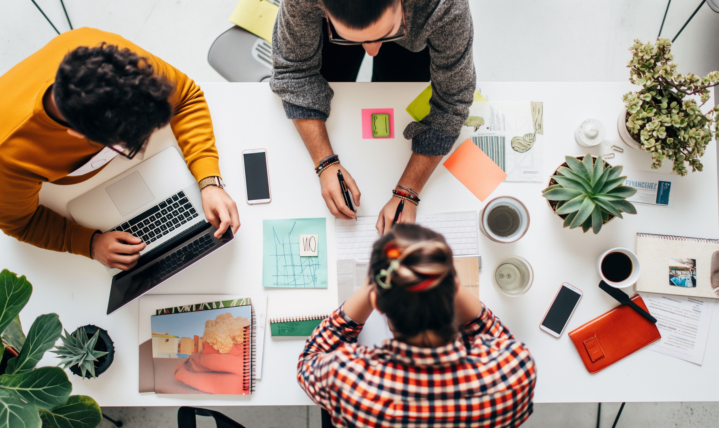 Course Image Induktionsphase 2026 Online-Woche